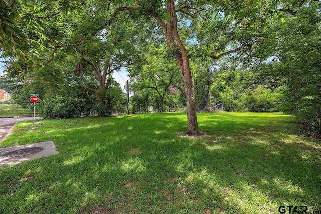 502 E Montgomery St, Crockett, TX 75835 - view of green lawn