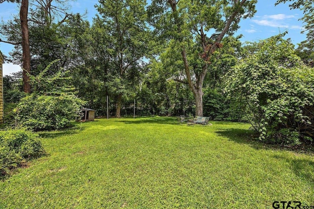 502 E Montgomery St, Crockett, TX 75835 - view of green lawn