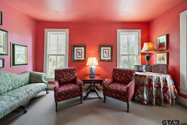 502 E Montgomery St, Crockett, TX 75835 - living area with healthy amount of natural light and carpet floors