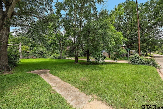 502 E Montgomery St, Crockett, TX 75835 - view of grassy yard