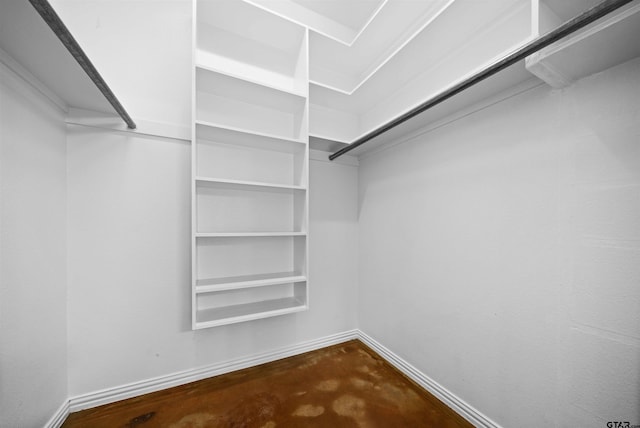 spacious closet with carpet floors