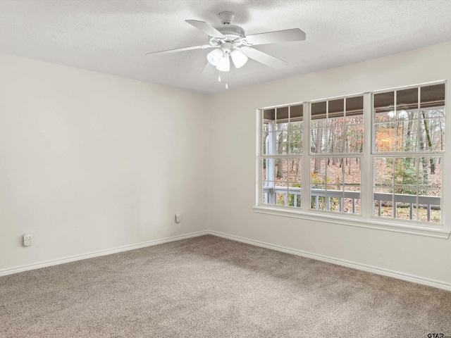 empty room featuring ceiling fan, carpet, and a textured ceiling