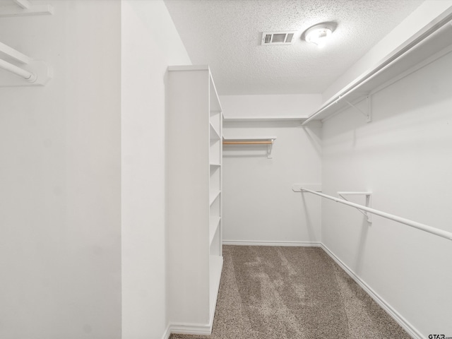 walk in closet with carpet floors