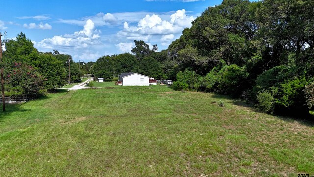 TBD Cr 4817, Athens, TX 75751 - photo 6