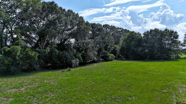 TBD Cr 4817, Athens, TX 75751 - photo 4