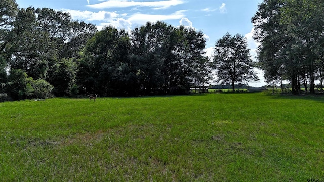 TBD Cr 4817, Athens, TX 75751 - photo 3