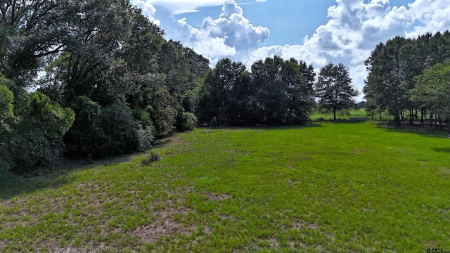 TBD Cr 4817, Athens, TX 75751 - photo 5