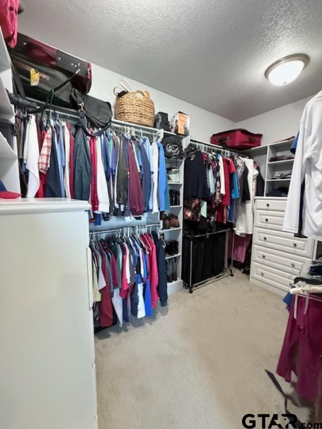 spacious closet featuring light carpet