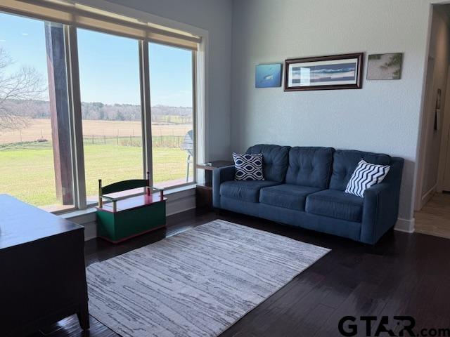 living room with a rural view and dark wood finished floors