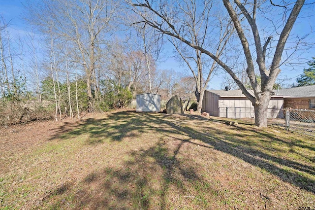 view of yard featuring a storage unit