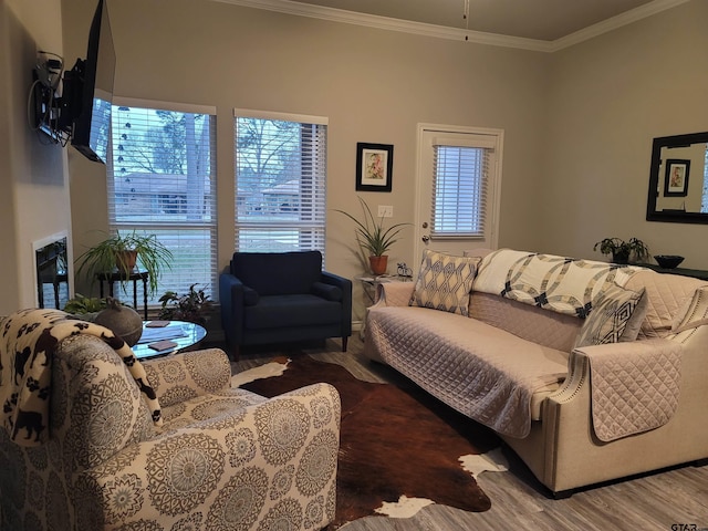 living room with ornamental molding, a wealth of natural light, and wood finished floors