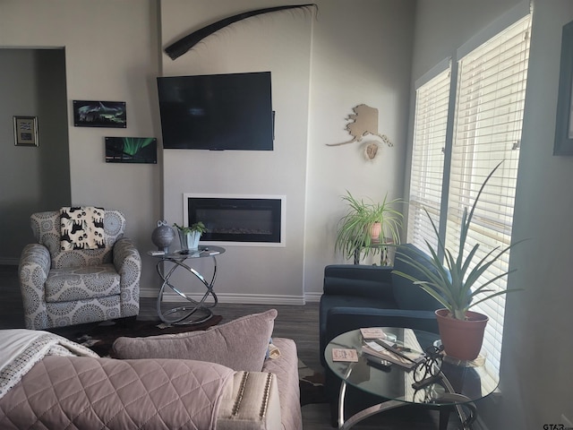 living room with hardwood / wood-style floors