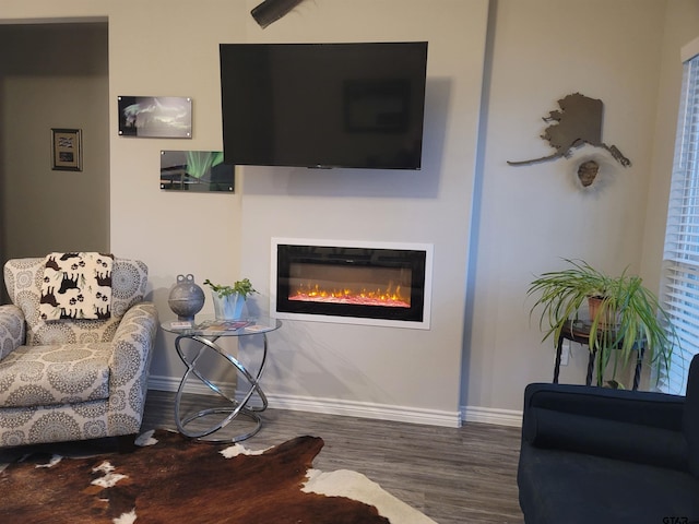 living room with a glass covered fireplace, baseboards, and wood finished floors