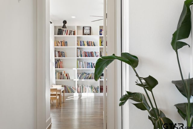 hallway featuring wood-type flooring