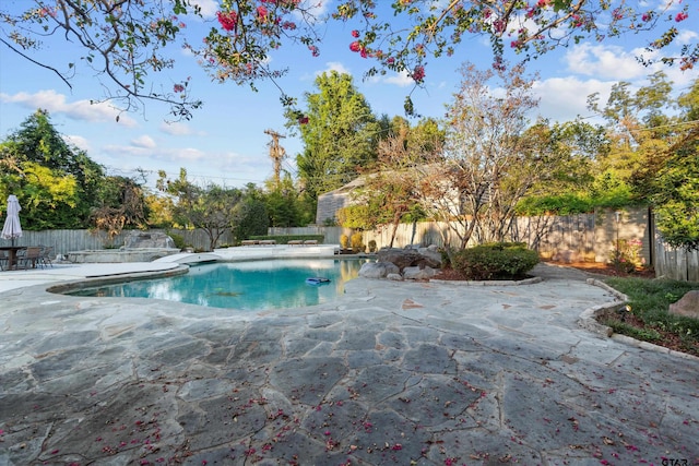 view of pool with a patio