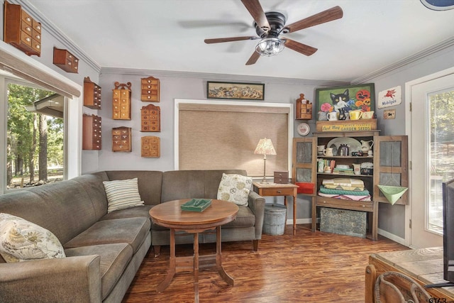 living room with ceiling fan, hardwood / wood-style floors, and ornamental molding