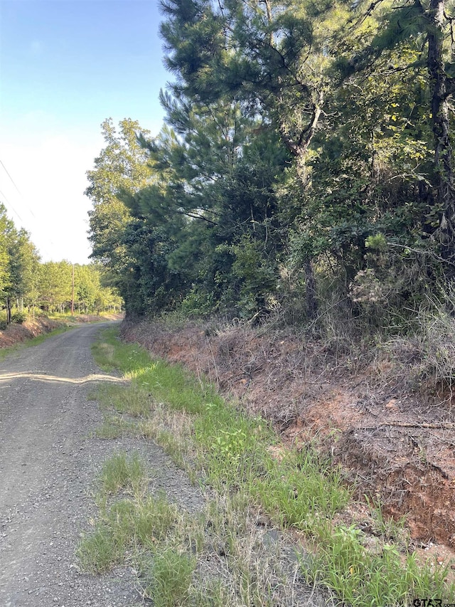 TBD(Lot45) County Road 1060, Center, TX 75935 - photo 10