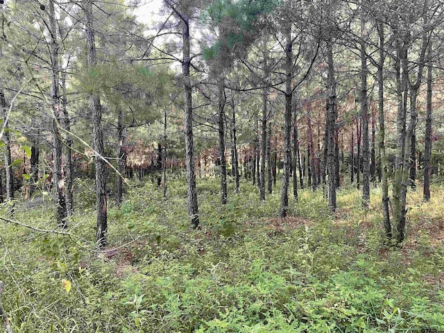TBD(Lot45) County Road 1060, Center, TX 75935 - photo 8