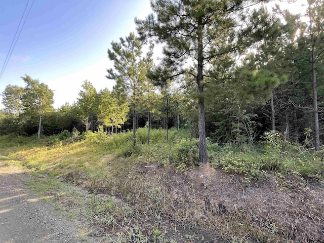 TBD(Lot45) County Road 1060, Center, TX 75935 - photo 11