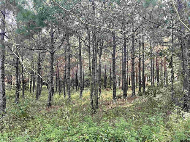 TBD(Lot45) County Road 1060, Center, TX 75935 - photo 7
