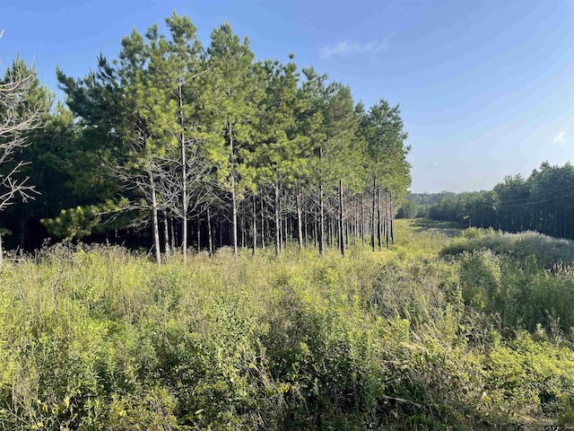 Listing photo 3 for TBD(Lot45) County Road 1060, Center TX 75935