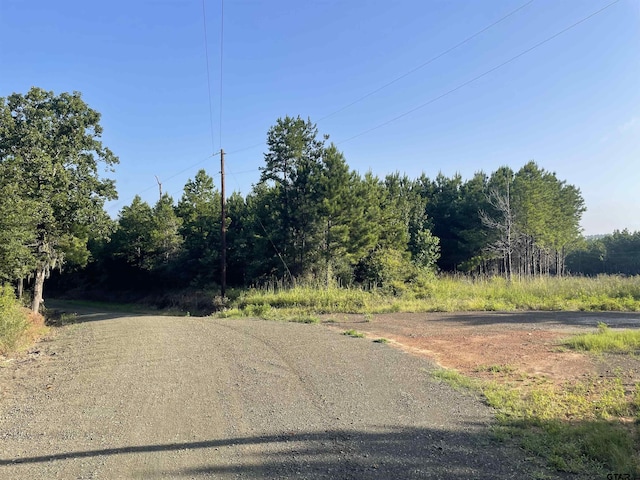 TBD(Lot45) County Road 1060, Center, TX 75935 - photo 4