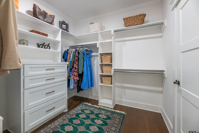 spacious closet with dark hardwood / wood-style floors