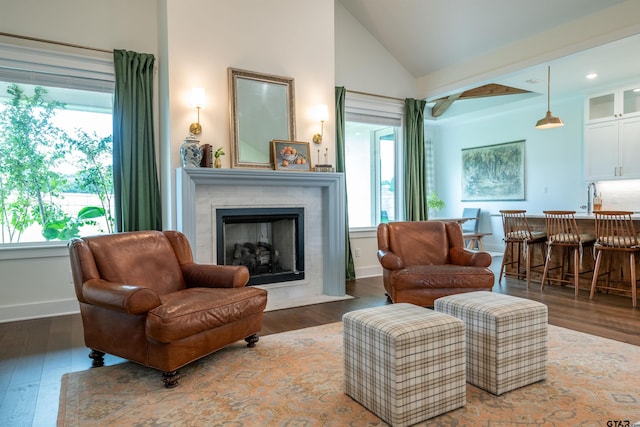 sitting room featuring high vaulted ceiling and dark wood-type flooring