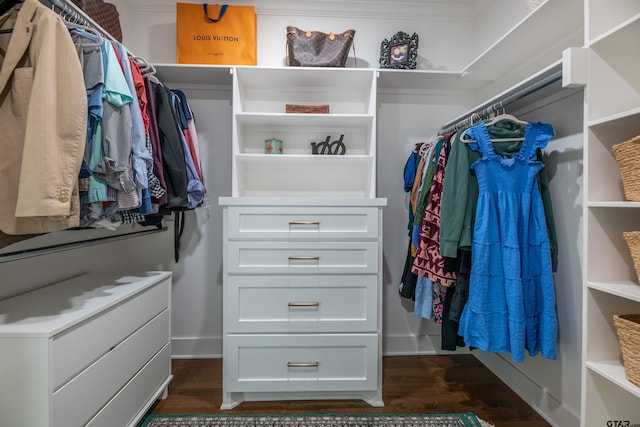 walk in closet with dark wood-type flooring