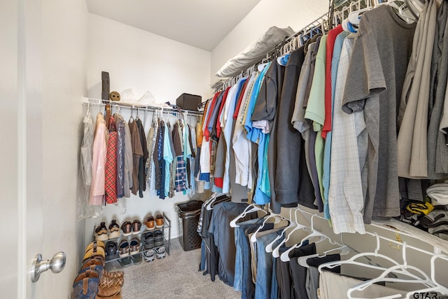 walk in closet featuring carpet flooring