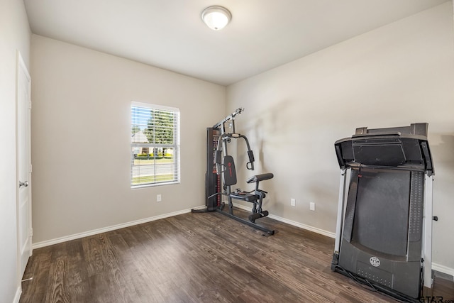 workout area featuring dark hardwood / wood-style floors