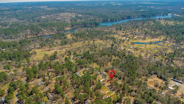 bird's eye view with a water view and a wooded view