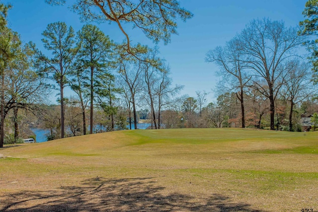 view of property's community with a water view and a lawn