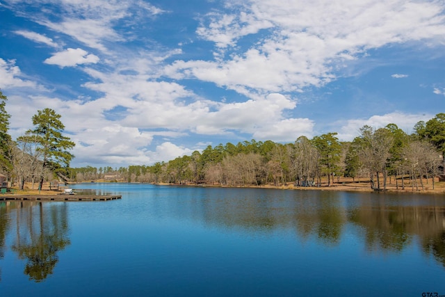 water view with a view of trees and a boat dock