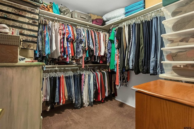 spacious closet featuring carpet floors