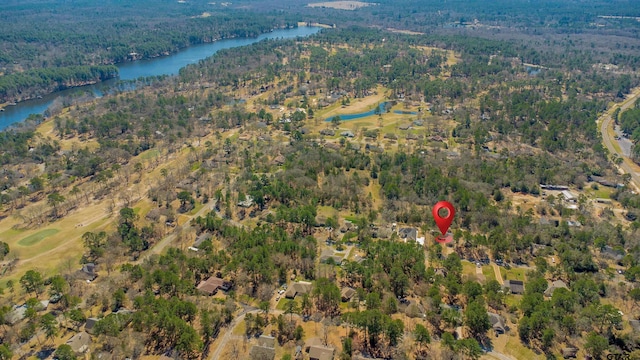 drone / aerial view featuring a water view and a view of trees