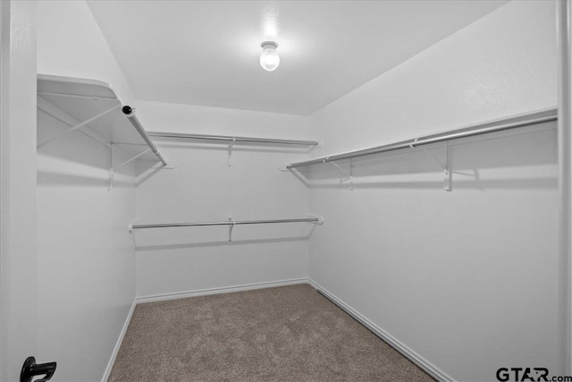 walk in closet featuring carpet