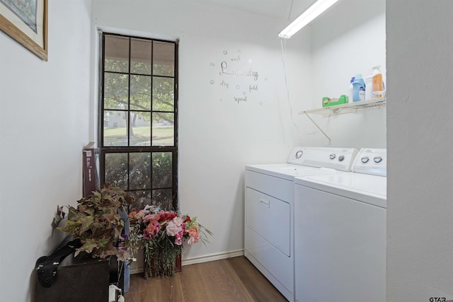 laundry room featuring washing machine and clothes dryer and dark wood-type flooring