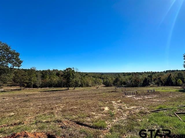 TBD Cr 314, Henderson, TX 75652 - photo 1