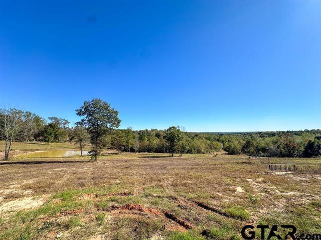 TBD Cr 314, Henderson, TX 75652 - photo 4