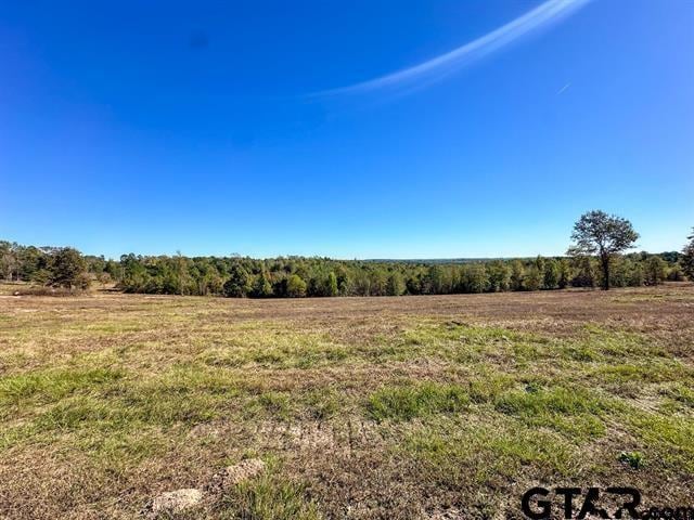 TBD Cr 314, Henderson, TX 75652 - photo 3