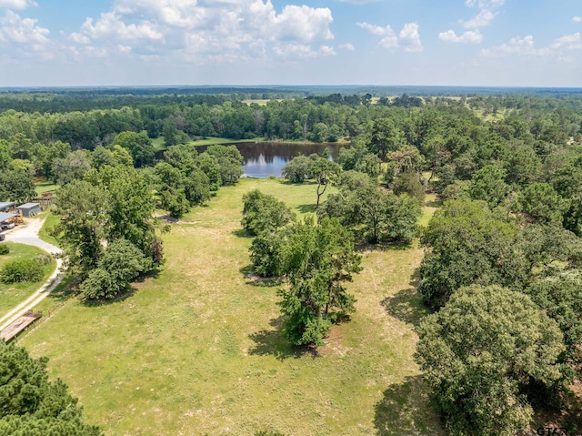 6007 W Fm 227, Grapeland TX, 75844 land for sale