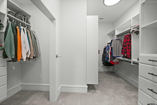 spacious closet with light colored carpet