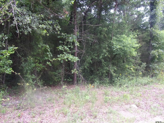 tbd Holly Glen, Murchison, TX 75778