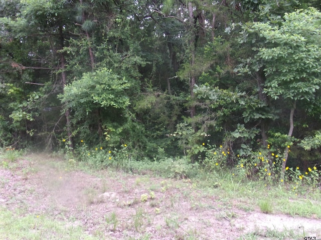 tbd Holly Glen, Murchison, TX 75778