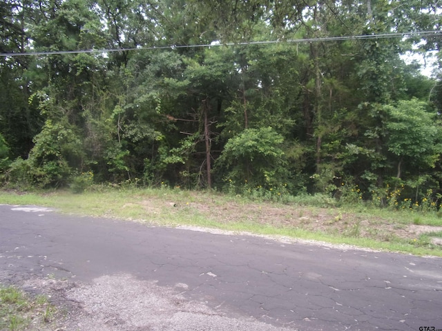 tbd Holly Glen, Murchison, TX 75778