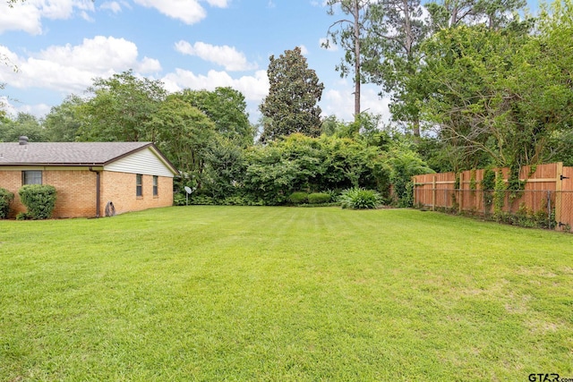 311 E Amherst St, Tyler, TX 75703 - view of yard