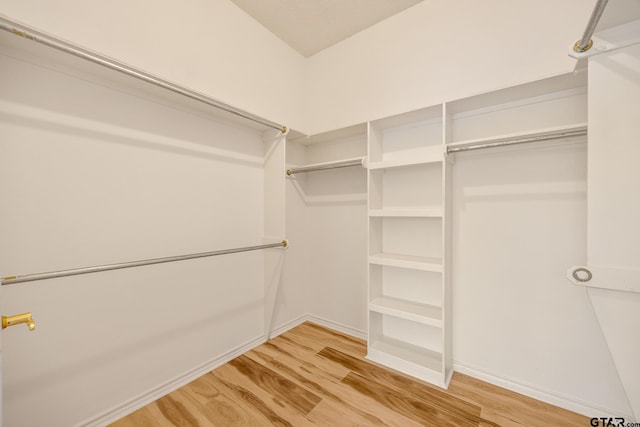 spacious closet with wood-type flooring