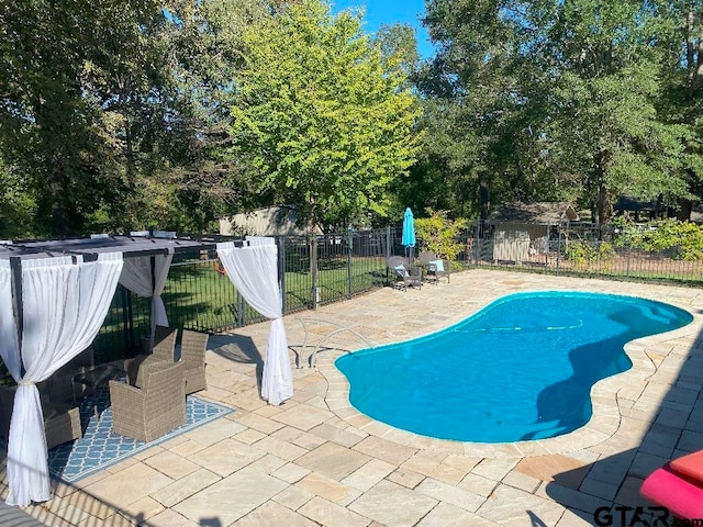 view of pool with a patio