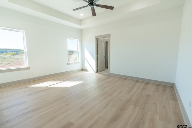 unfurnished room with a tray ceiling, a wealth of natural light, and light hardwood / wood-style flooring